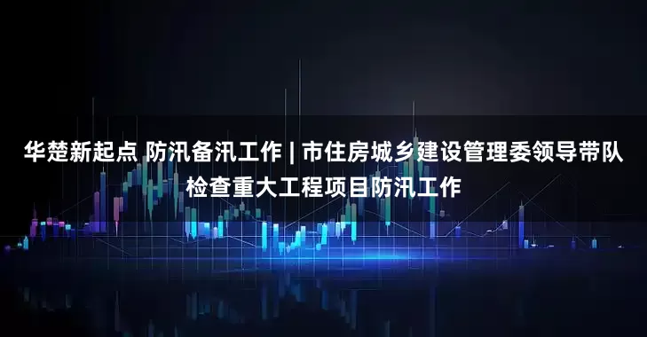 华楚新起点 防汛备汛工作 | 市住房城乡建设管理委领导带队检查重大工程项目防汛工作