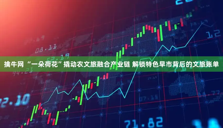 擒牛网 “一朵荷花”撬动农文旅融合产业链 解锁特色早市背后的文旅账单